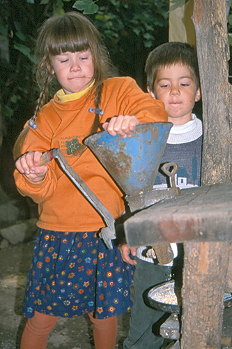 mezeiiskola1.jpg