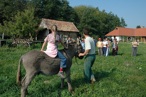 mezeiiskola4.jpg